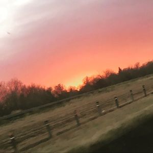 Meet your Posher, Roxana